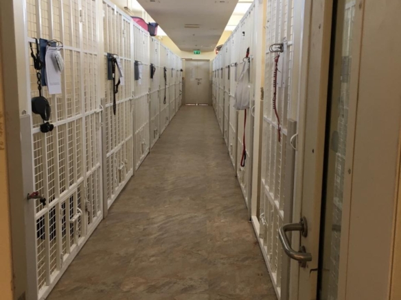 Dog Day-Care for Sale in Al Khawaneej