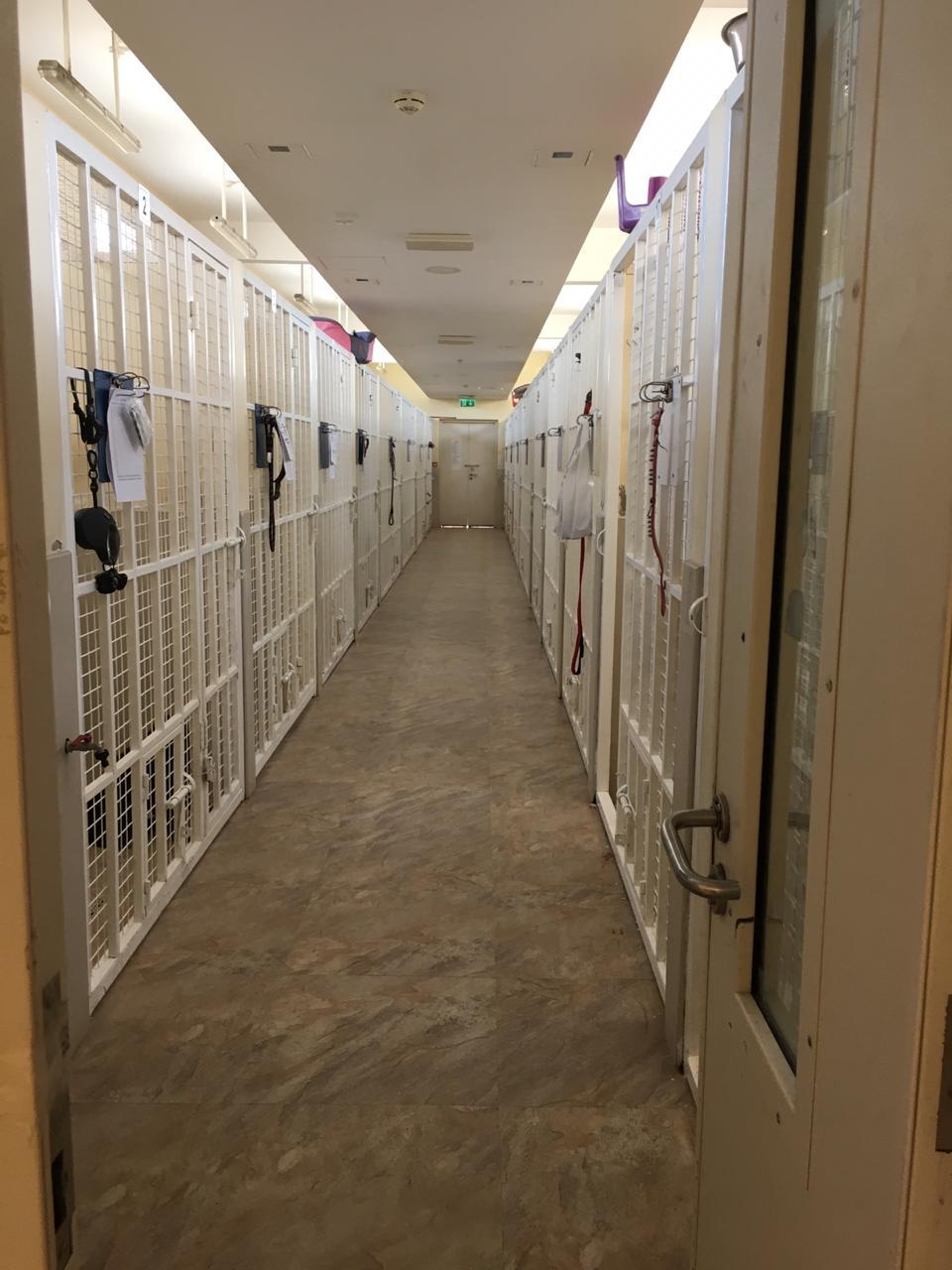 Dog Day-Care for Sale in Al Khawaneej