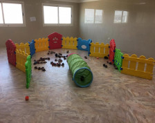 Dog Day-Care for Sale in Al Khawaneej