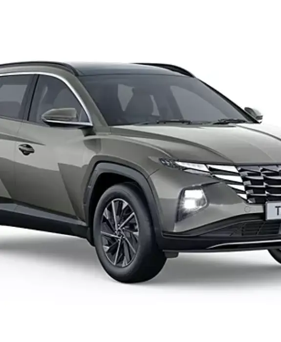 Well-established car rental company