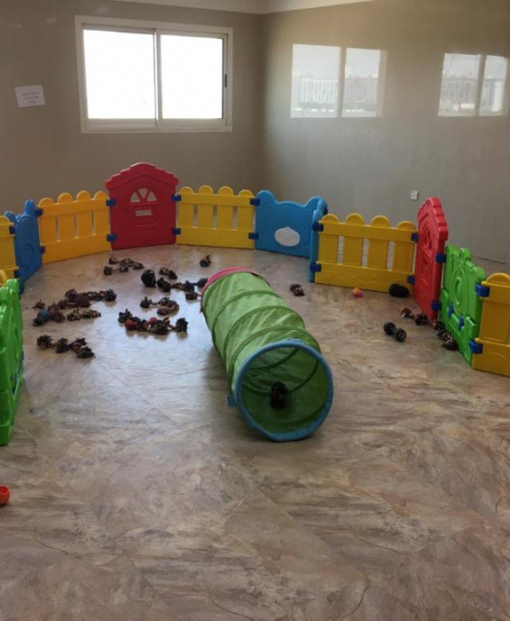 Dog Day-Care for Sale in Al Khawaneej